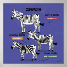 Zebra Art Art Poster v2