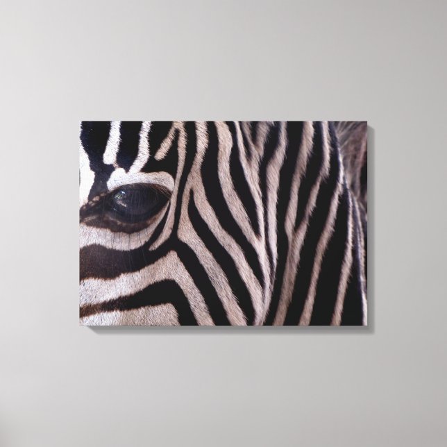 Zebra Art Canvastryck (Framsida)
