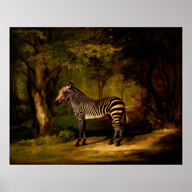 Zebra av George Stubbs (1763) Poster (Framsidan)