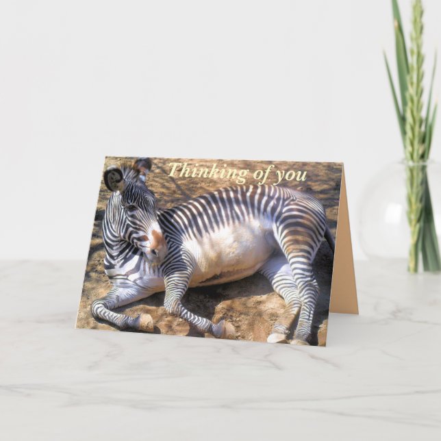 Zebra av kärlek_ kort (Framsida)