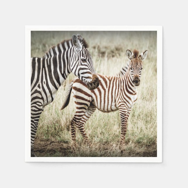 Zebra & Baby Napkins Pappersservett (Framsidan)
