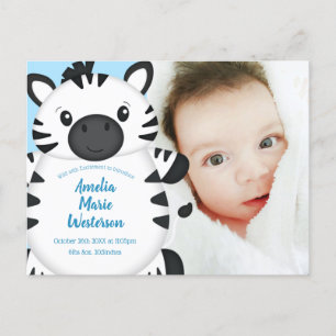 Zebra Baby Shower Blue Vykort