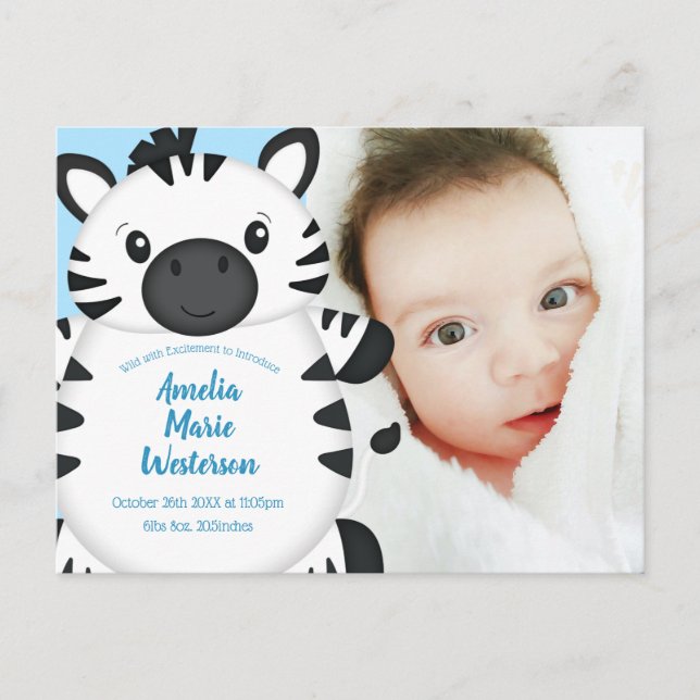 Zebra Baby Shower Blue Vykort (Framsida)