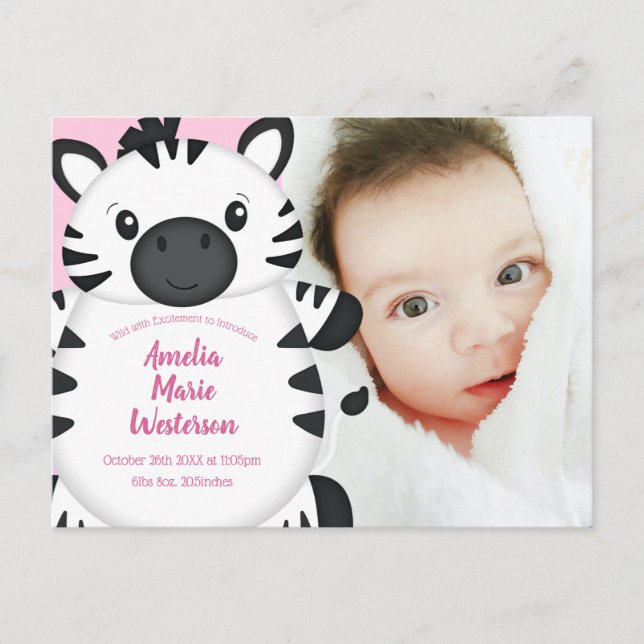 Zebra Baby Shower Safari Rosa Girl Girl Girl Girl Vykort (Framsida)