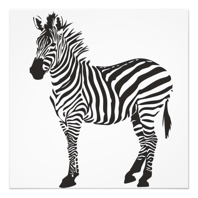 Zebra Black and White Minimalism Fototryck (Framsidan)