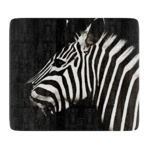 Zebra Black and White Rand Animal
