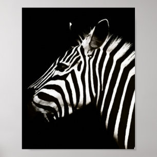 Zebra Black and White Rand Animal Poster