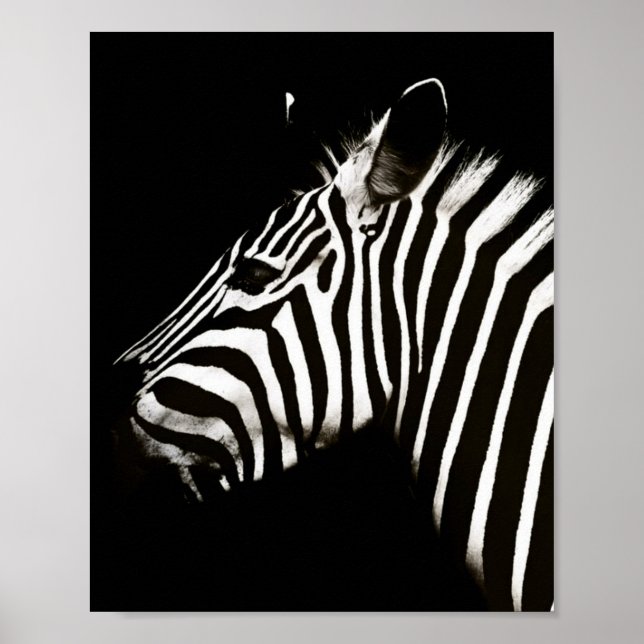 Zebra Black and White Rand Animal Poster (Framsidan)