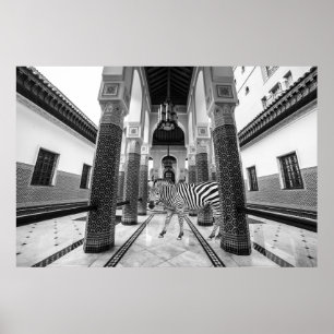 Zebra Black White Byggnad liggande Poster
