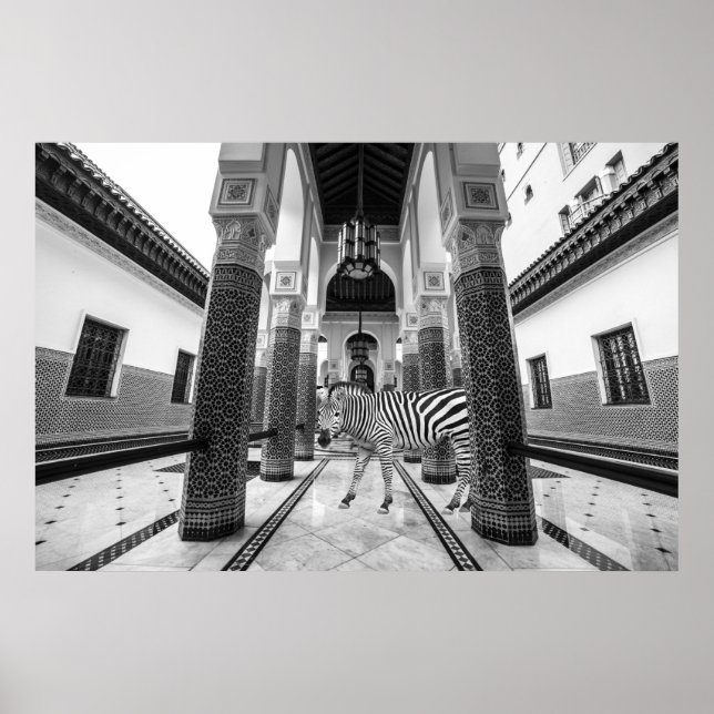 Zebra Black White Byggnad liggande Poster (Framsidan)