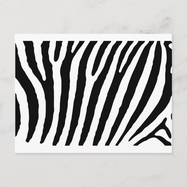 Zebra Black & White Linjer Vykort (Framsida)