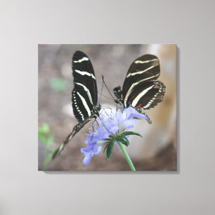 Zebra Butterflies! Canvastryck