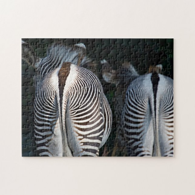 Zebra Butts flony Wildlife Pussel (Horisontell)