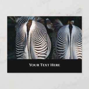 Zebra Butts Funny Wildlife Vykort