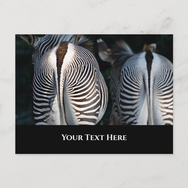 Zebra Butts Funny Wildlife Vykort (Framsida)