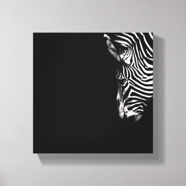 Zebra Canvas Art (Framsida)