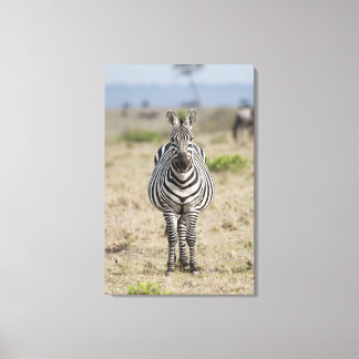 Zebra Canvastryck