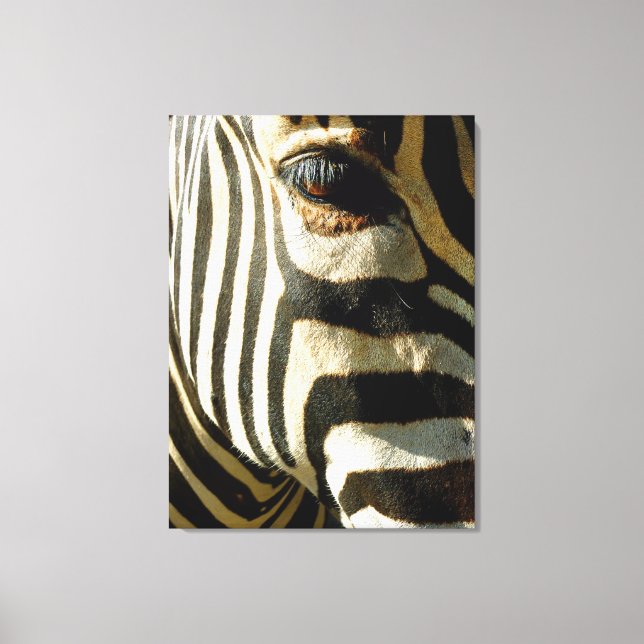 Zebra Canvastryck (Framsida)