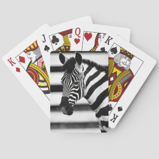 Zebra Casinokort