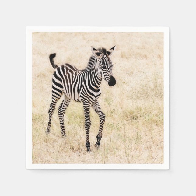 Zebra Colt Pappersservett (Framsidan)