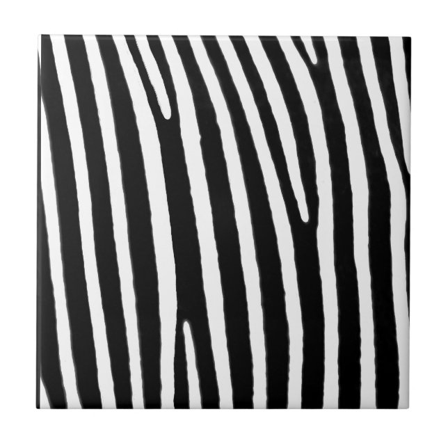 Zebra-djur, svartvit Rand. Kakelplatta (Framsidan)