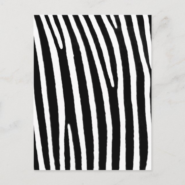 Zebra djurtryck vykort (Framsida)