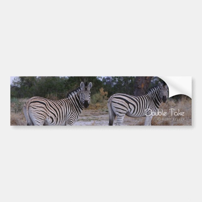 Zebra Dubbla Ta foto Bildekal (Framsidan)
