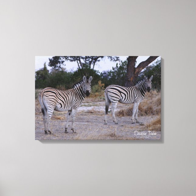 Zebra Dubbla Ta foto Canvastryck (Framsida)