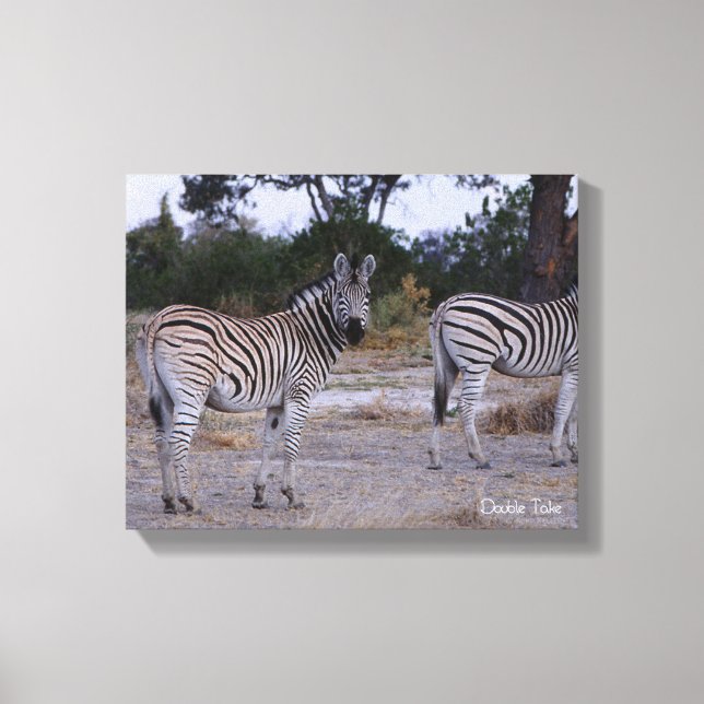Zebra Dubbla Ta foto Canvastryck (Framsida)