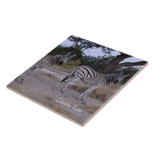 Zebra Dubbla Ta foto Kakelplatta