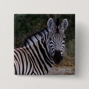 Zebra Dubbla Ta foto Knapp