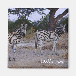 Zebra Dubbla Ta foto Magnet