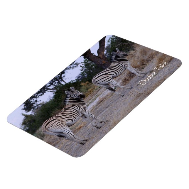 Zebra Dubbla Ta foto Magnet (Vänstra Sidan)
