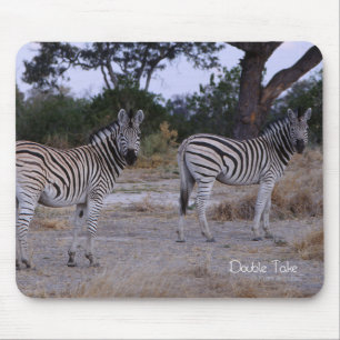 Zebra Dubbla Ta foto Musmatta