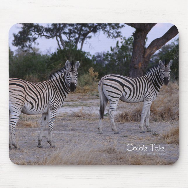 Zebra Dubbla Ta foto Musmatta (Framsidan)