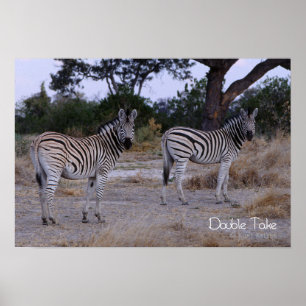 Zebra Dubbla Ta foto Poster