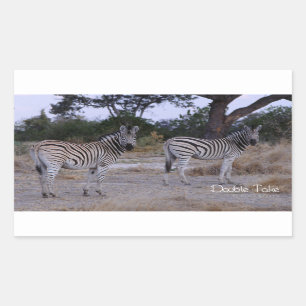 Zebra Dubbla Ta foto Rektangulärt Klistermärke