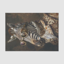 Zebra Extravaganza13