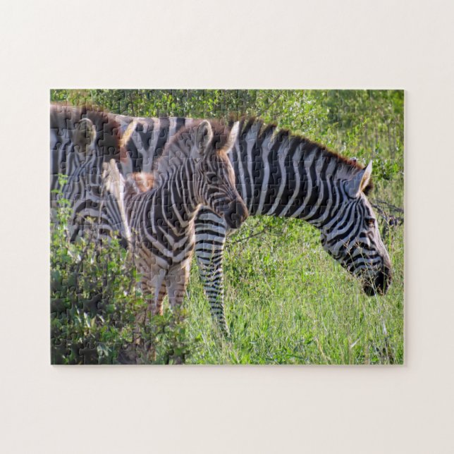 zebra-familjen pussel (Horisontell)