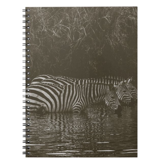 ZEBRA FAMILY DRINK ANTECKNINGSBOK (Framsidan)