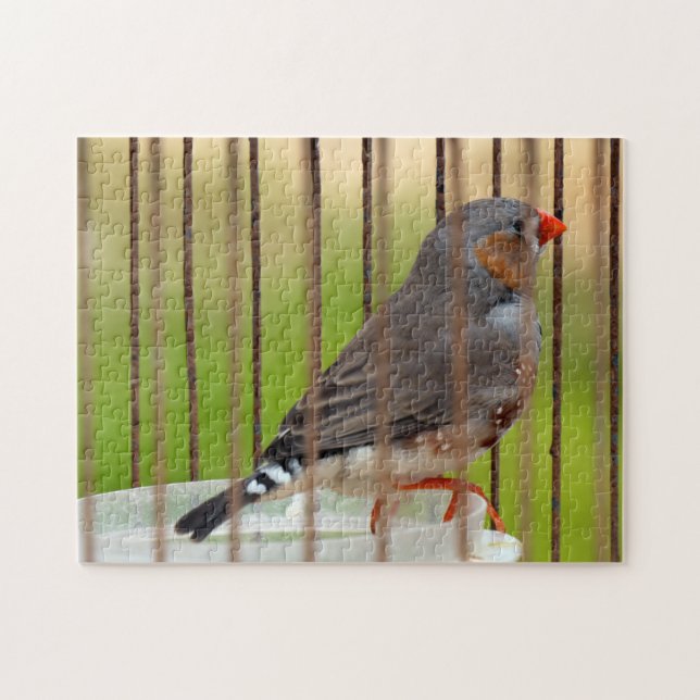 Zebra Finch Bird i Cage Pussel (Horisontell)