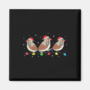 Zebra Finch Bird Ljus Funny Pet Julafton G Magnet