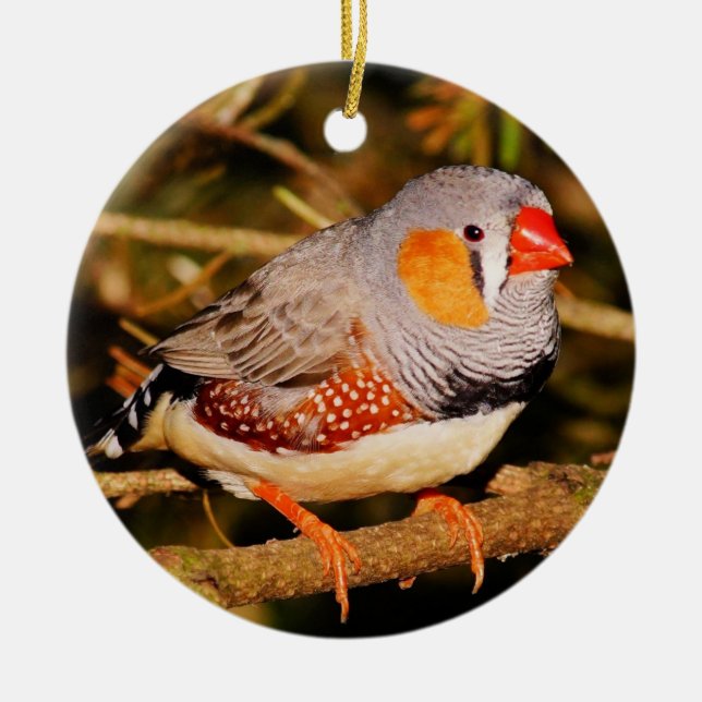 Zebra Finch Julgransprydnad Keramik (Framsidan)