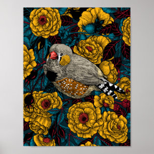 Zebra finch och ro bush poster