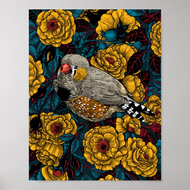 Zebra finch och ro bush poster (Framsidan)