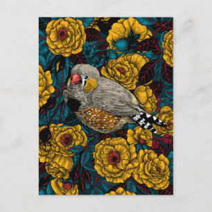 Zebra finch och ro bush vykort