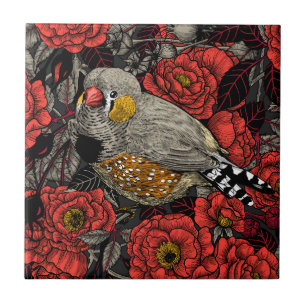 Zebra finch och röd ros bush kakelplatta