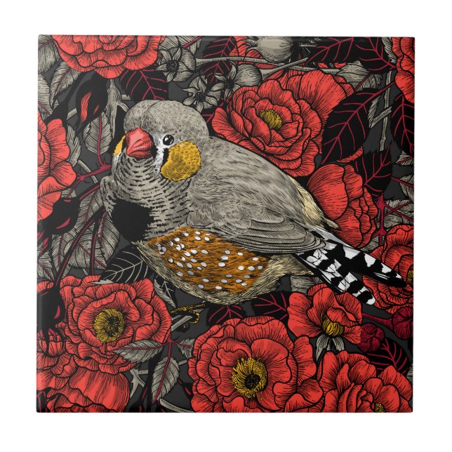 Zebra finch och röd ros bush kakelplatta (Framsidan)