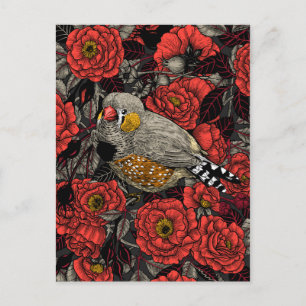 Zebra finch och röd ros bush vykort