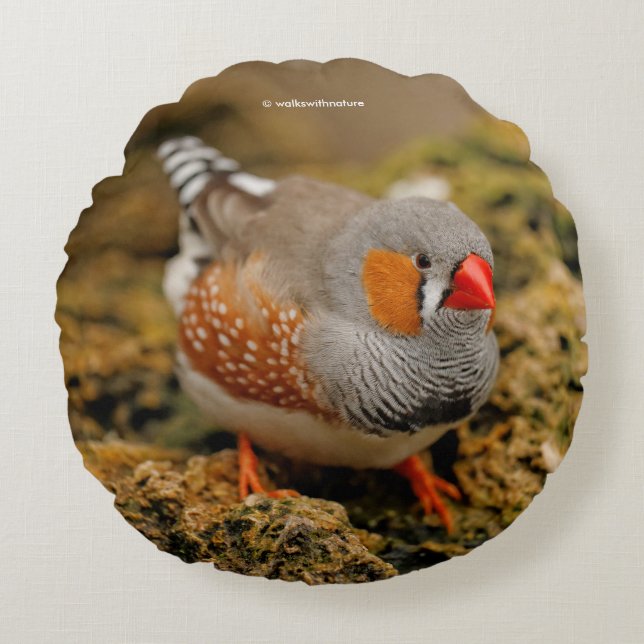 Zebra Finch på Sten Rund Kudde (Framsidan)